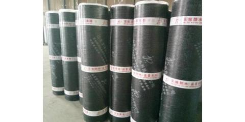 山东SBS耐根穿刺防水卷材 建筑防水领域的可靠选择